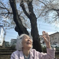 桜のお花見