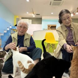 猫カフェに行ってきました😸