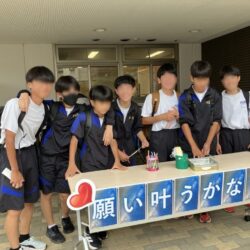 七夕の笹を設置しました